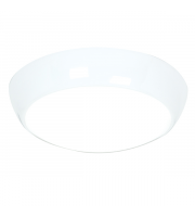 Saxby Lighting 46429  Vigor LED EM IP65 16W & 2W cool white (White)