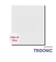 NET LED Kingston UGR 19 Tri-Colour Panel 500x500 20W Tp(a) Standard 