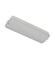 Robus IP65 Maintained LED Bulkhead with Ni-Cd Battery (White)
